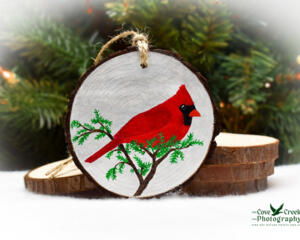 A handmade wood slice Christmas ornament with a hand-painted red cardinal against a gray winter background at Cove Creek Photography.
